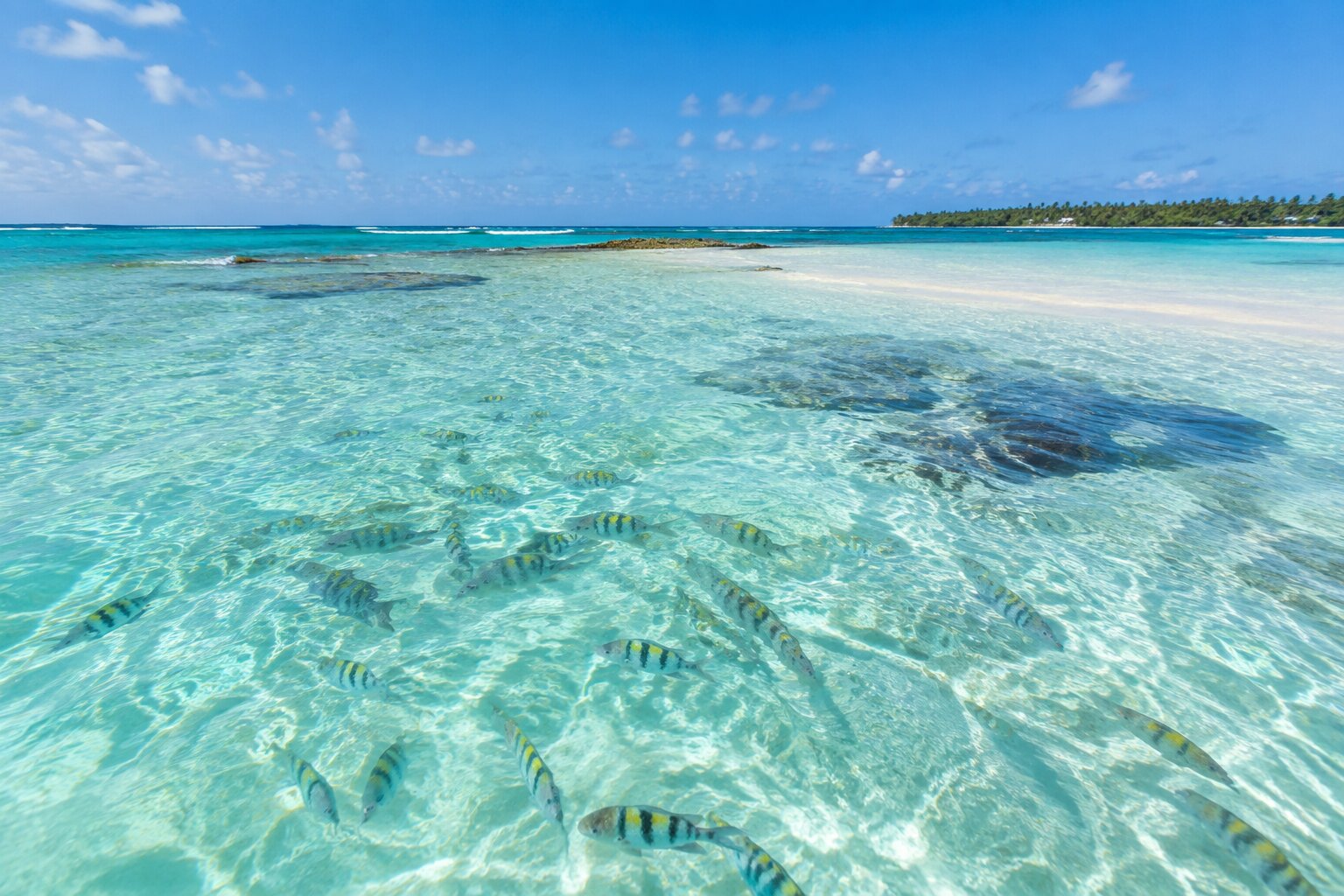 Las aguas transparentes de El Acuario, en San Andrés
