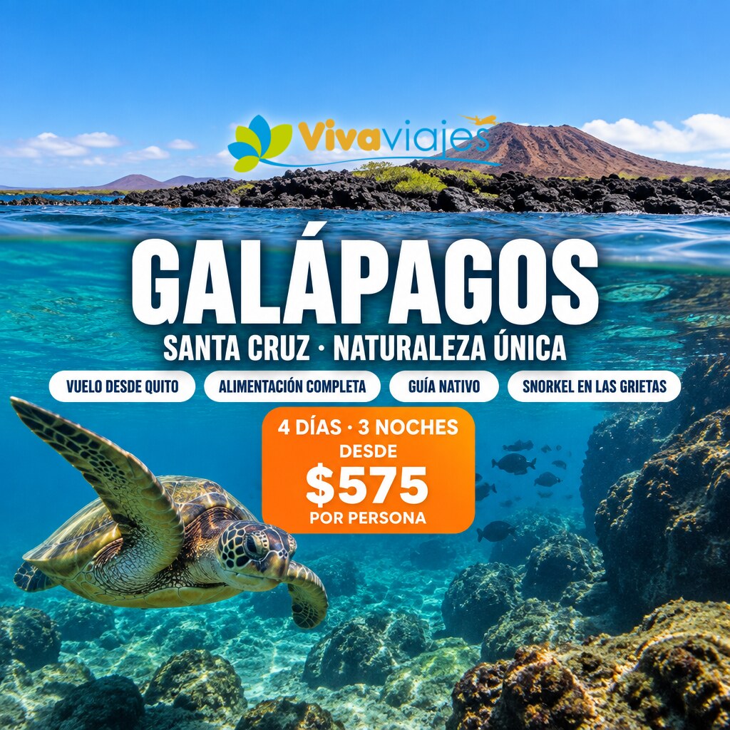 Paquete Galápagos Santa Cruz: 4 días desde $575 por persona, con una tortuga marina