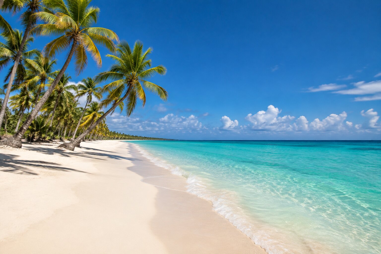 Palmeras sobre la arena blanca de la playa de Bávaro, Punta Cana