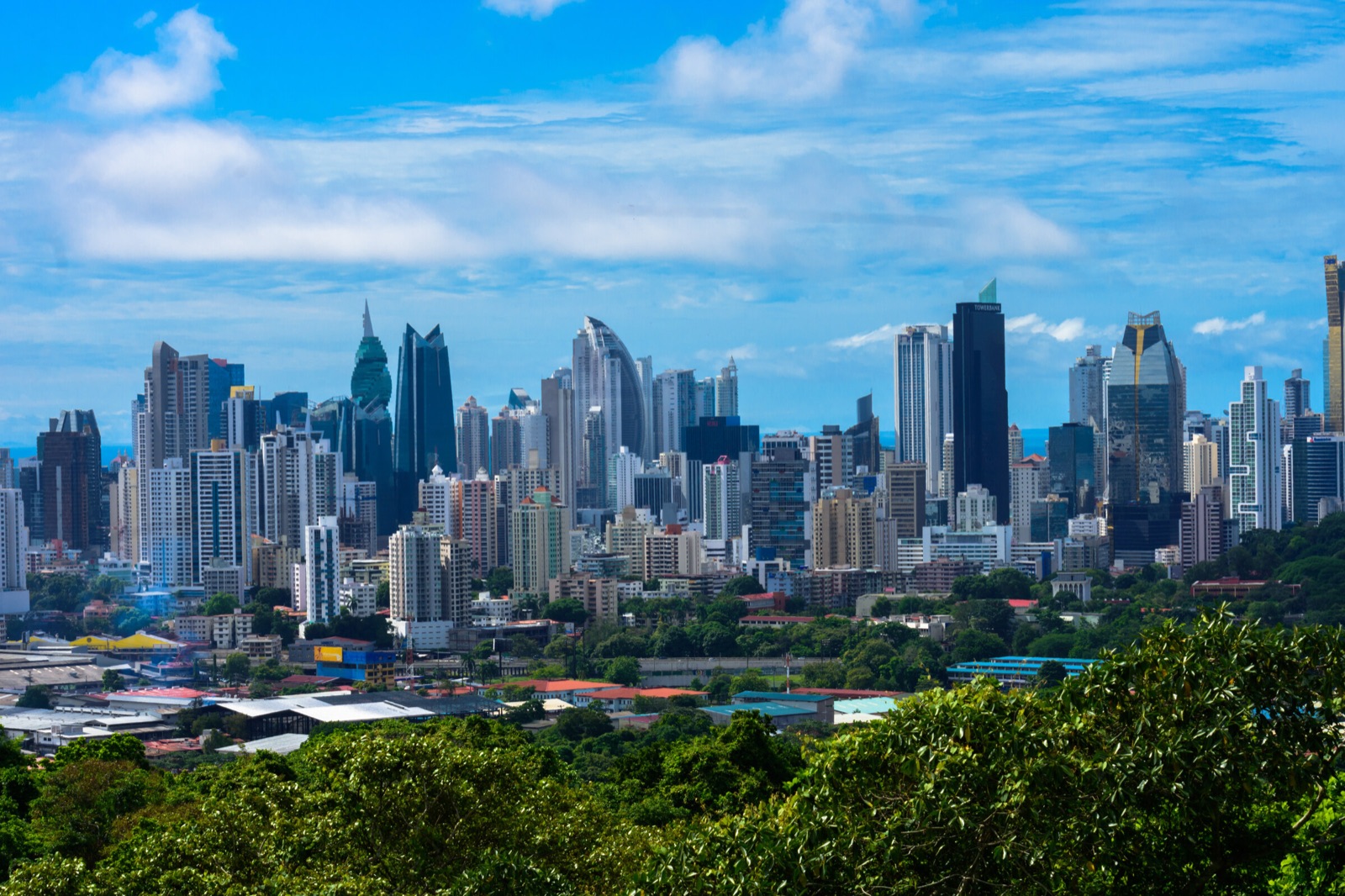 Los rascacielos de Ciudad de Panamá sobre la vegetación