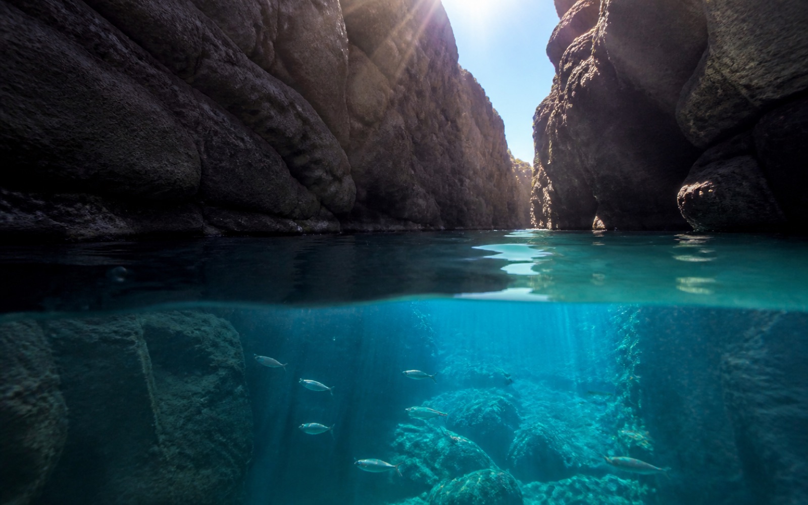 Snorkel en las aguas turquesas de Las Grietas