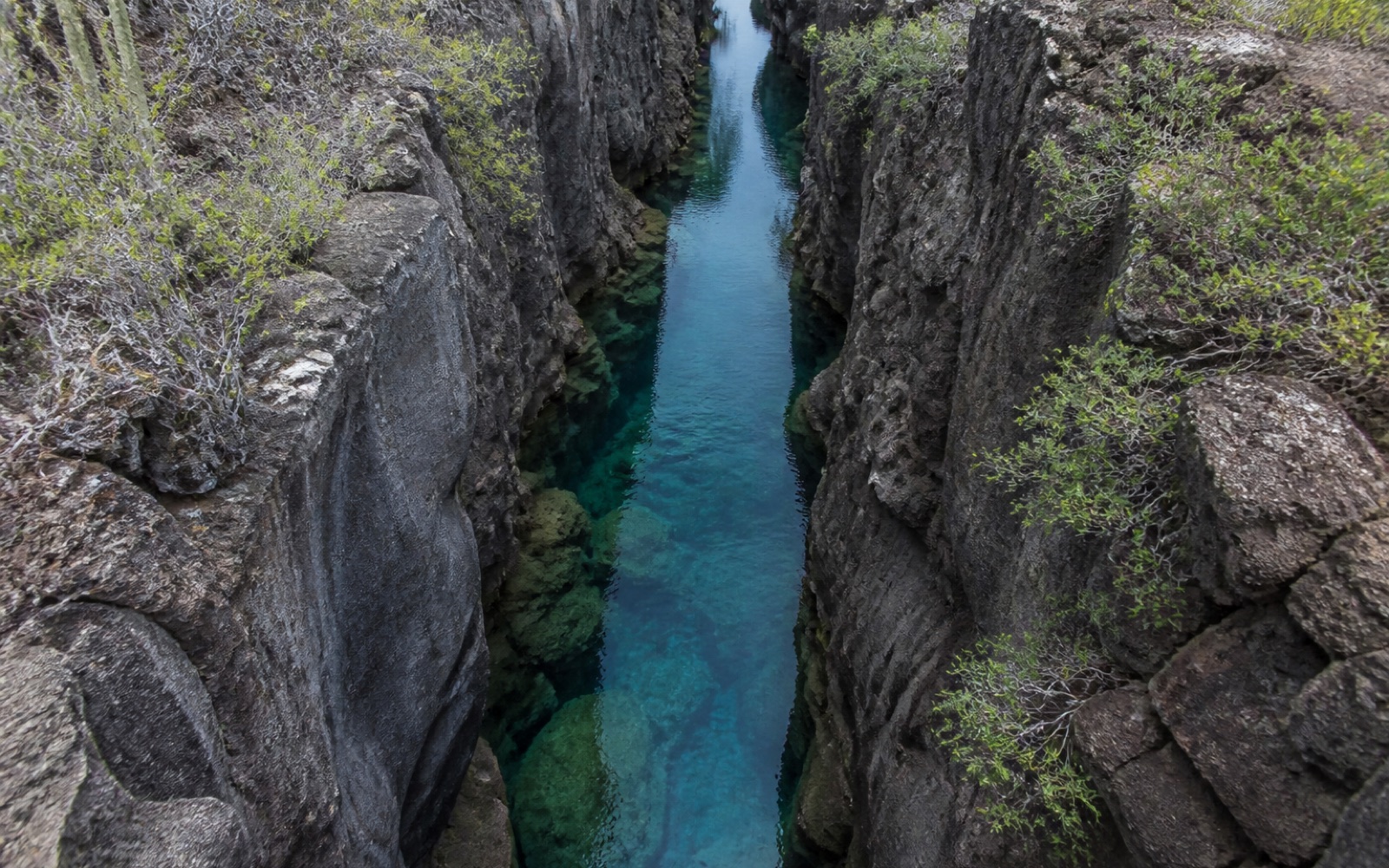 Las Grietas, formación rocosa de aguas turquesas en Santa Cruz