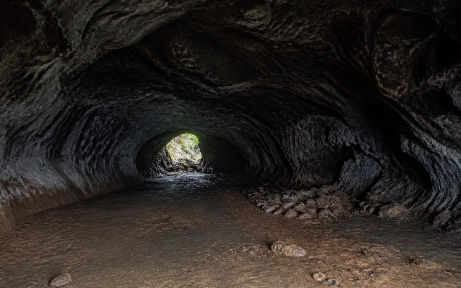 Túnel de lava en la parte alta de la isla Santa Cruz