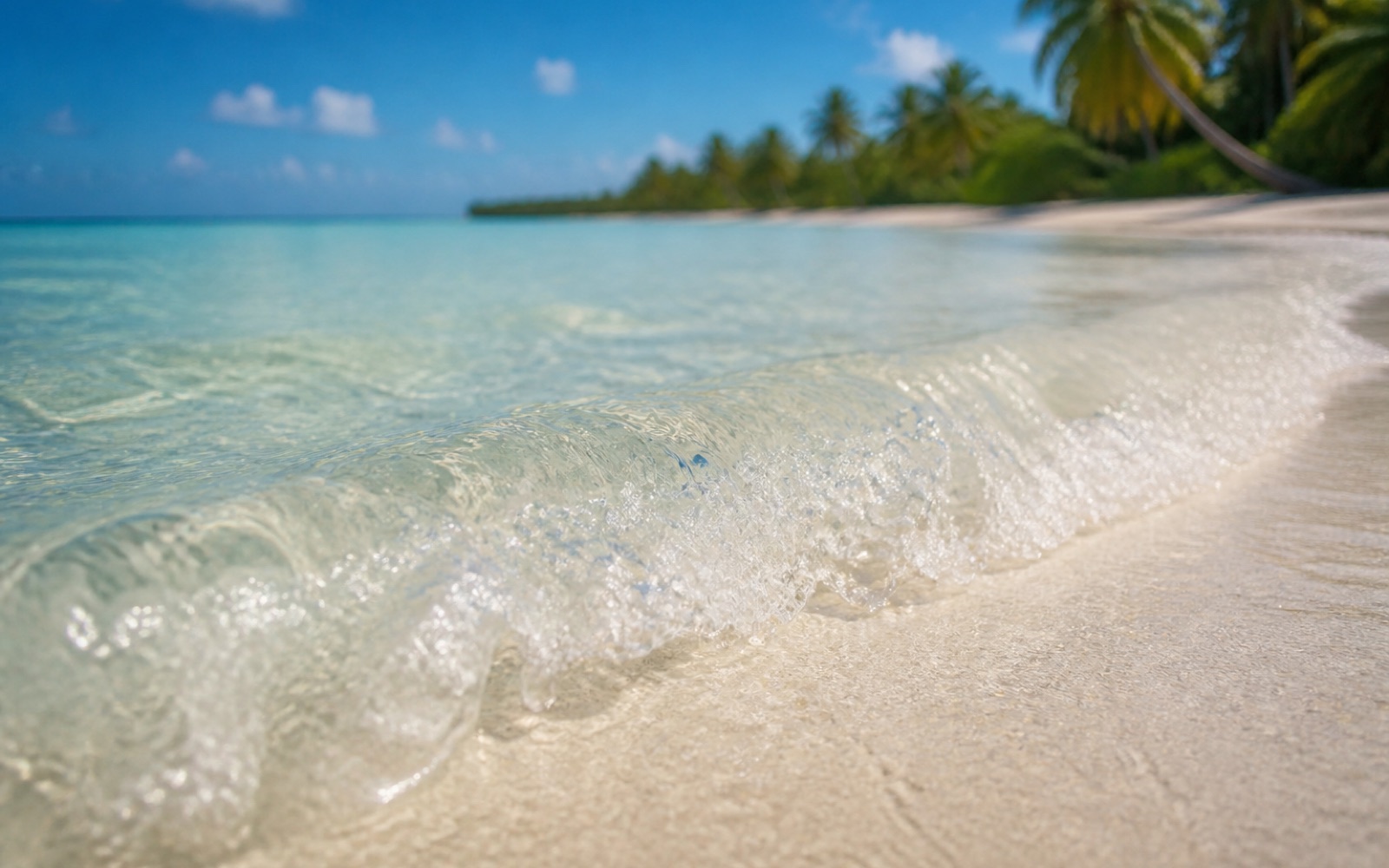 Agua cristalina del Caribe sobre arena blanca en Punta Cana
